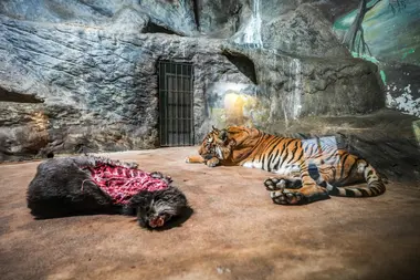 Zoo Ústí nad Labem - Nevinné oběti